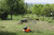 Product thumbnail view 5