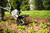 Product thumbnail view 2