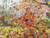 Product thumbnail view 4