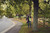 Product thumbnail view 3