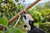 Product thumbnail view 6