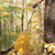 Product thumbnail view 3