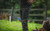 Product thumbnail view 3