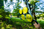 Product thumbnail view 3
