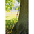 Product thumbnail view 2