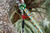 Product thumbnail view 2