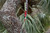 Product thumbnail view 3