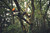 Product thumbnail view 8