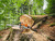 Product thumbnail view 4