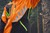 Product thumbnail view 4