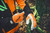 Product thumbnail view 4