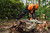 Product thumbnail view 6