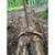 Product thumbnail view 4