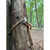 Product thumbnail view 5