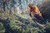 Product thumbnail view 5