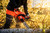 Product thumbnail view 2