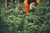 Product thumbnail view 9