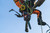 Product thumbnail view 7