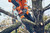 Product thumbnail view 3