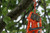 Product thumbnail view 4