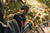 Product thumbnail view 7