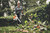 Product thumbnail view 5