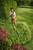 Product thumbnail view 9