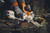 Product thumbnail view 11