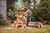 Product thumbnail view 7