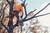 Product thumbnail view 11