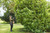 Product thumbnail view 5