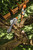 Product thumbnail view 6