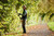Product thumbnail view 9