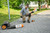 Product thumbnail view 3
