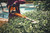 Product thumbnail view 7