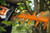 Product thumbnail view 6