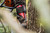 Product thumbnail view 8