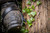 Product thumbnail view 6