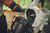 Product thumbnail view 10