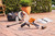 Product thumbnail view 12