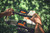 Product thumbnail view 6