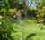 Product thumbnail view 7