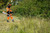 Product thumbnail view 3