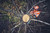 Product thumbnail view 3