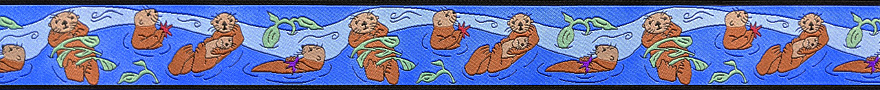 sea-otters-brite-880-x-90.jpg