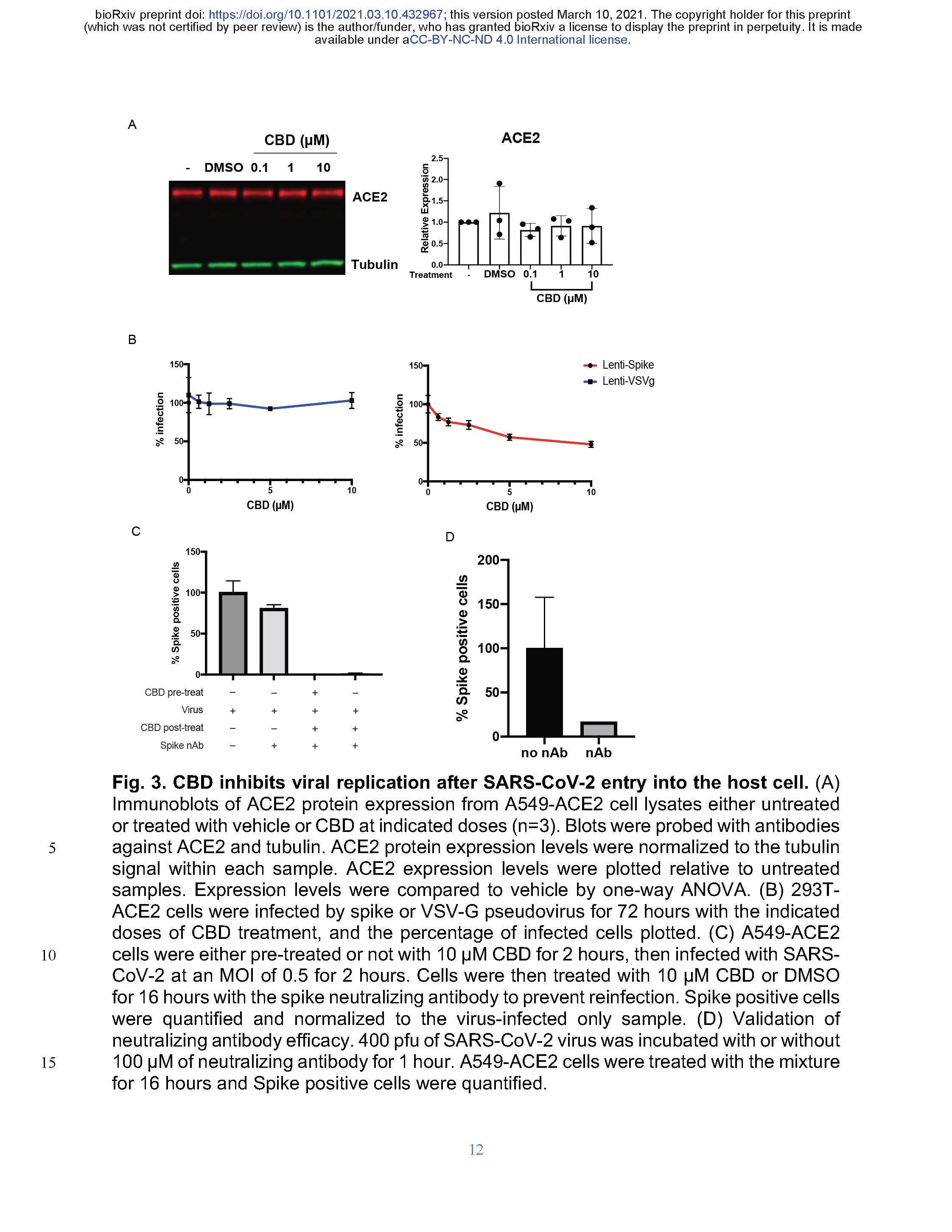 cbd-use-for-covid-inhibition-3-10-21-page-12.jpg