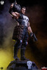 Punisher - Deluxe Edition