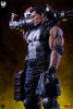 Punisher - Deluxe Edition