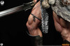 Conan - Deluxe Premium Collectibles Studio (PCS) Conan Collectible Figure