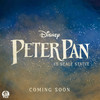Peter Pan - 1:5 Scale Statue Premium Collectibles Studio (PCS) Disney Collectible Figure